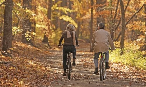 Cycling on the Veluwe