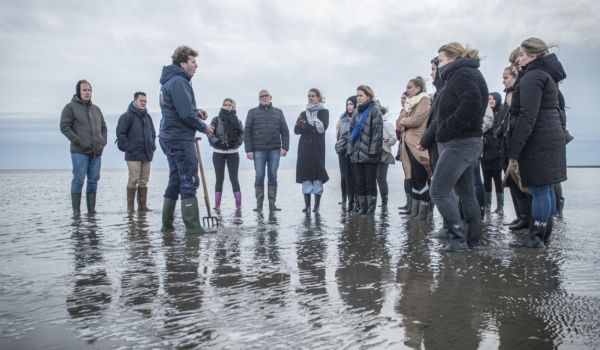 Wadlopen Terschelling