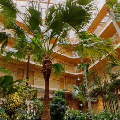 360º foto Subtropische tuin - Hotel Jakarta Amsterdam